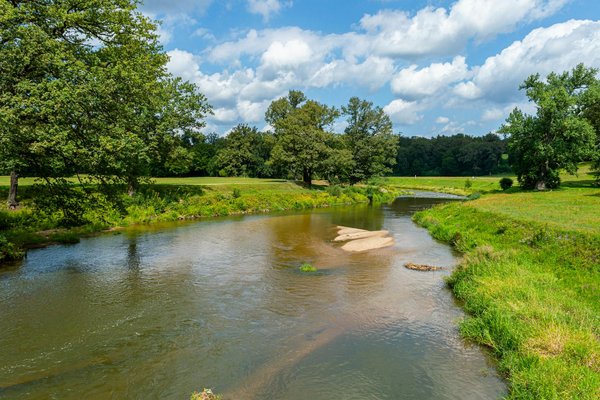 Acupression : les essentiels pour votre bien-être quotidien