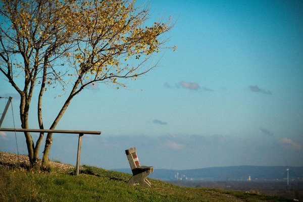 Jeûner 1 semaine : guide pratique et conseils essentiels